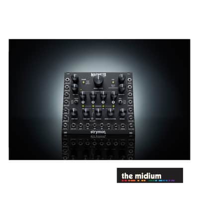 Strymon Magneto four head dTape echo & looper module image 1