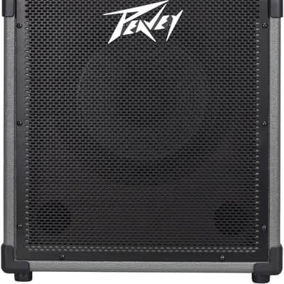 Peavey MAX 100 100-Watt Bass Amp Combo image 1