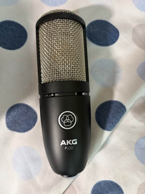 AKG P220 Large Diaphragm Cardioid Condenser Microphone 2010s - Black image 1