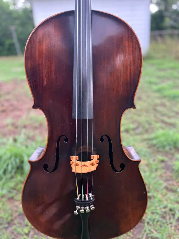 Immagine Giuseppe Petrazzini Cello 1890's Italian Labeled - 1