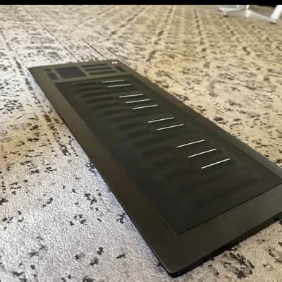 ROLI Seaboard RISE 25 2010s - Black image 2
