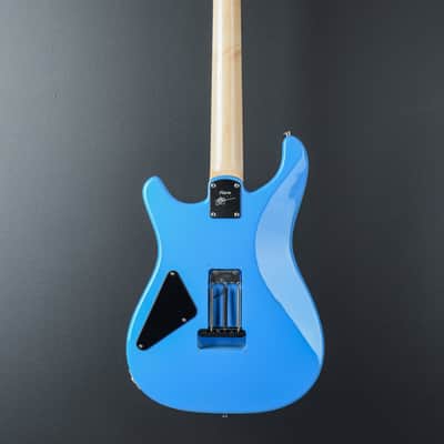 Paul Reed Smith Mark Lettieri Fiore '24 image 6