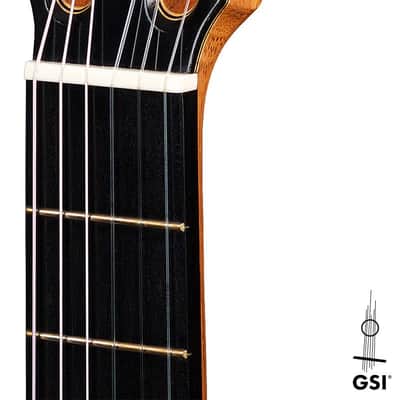 Mariano Tezanos Maestro 2009 Classical Guitar Spruce/CSA Rosewood image 10