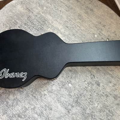 IBANEZ AEL20 acoustic guitars