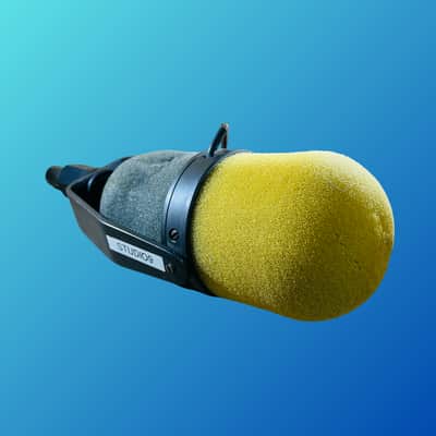 Shure SM5B image 3