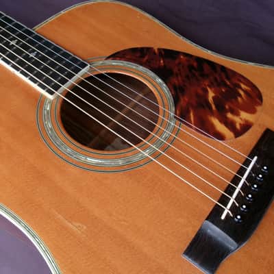 1981 Yairi D 35 YW-500P - Natural+Hard Case image 19