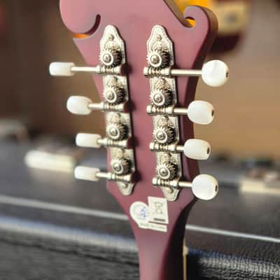 Epiphone F-5 Studio Mandolin 2025 - Wine Red Satin image 9