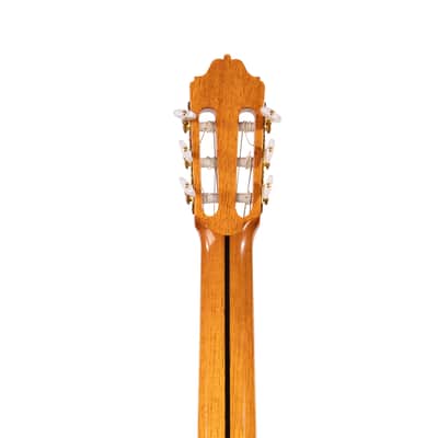 6 String Contrabass Guitar (Octave Bass) - Esteve PS75 - All Solid Wood/Cedar/Indian Rosewood - 750mm Scale Length image 8