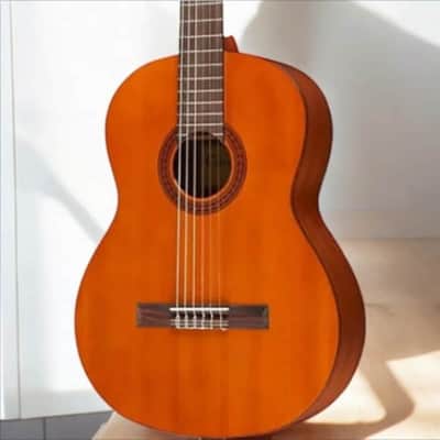 BRAND NEW Cordoba C5 Solid Cedar Top Acoustic Nylon-String Classical Guitar 2025 - cedar image 5