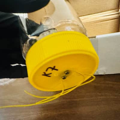 BeesNeez Microphones K7 capsule image 4
