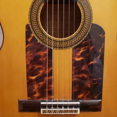 Anselmo Solar Gonzalez Anselmo Solar Gonzalez flamenco guitar - Santos Hernandez/Marcelo Barbero style 1964 - Top: German spruce with new golpe plates. Sides and Back: Cypress Neck: Mahogany Fingerboard: Ebony image 6