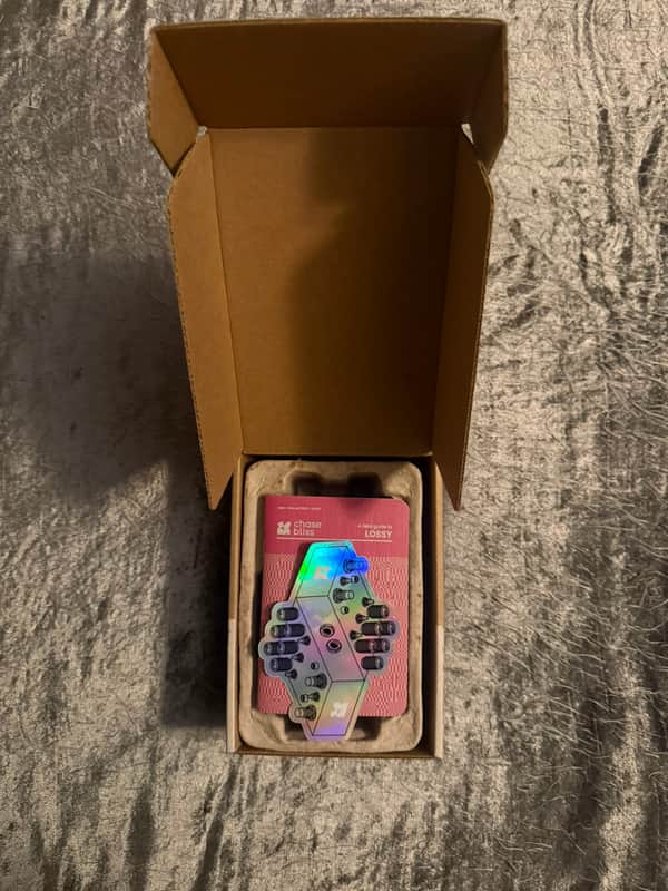 Chase Bliss Audio Lossy