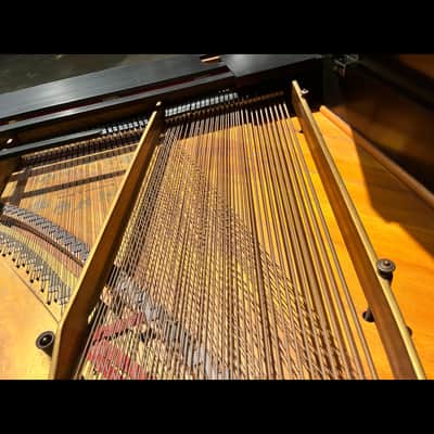 Steinway & Sons Model M Grand Piano – 5'7" image 9