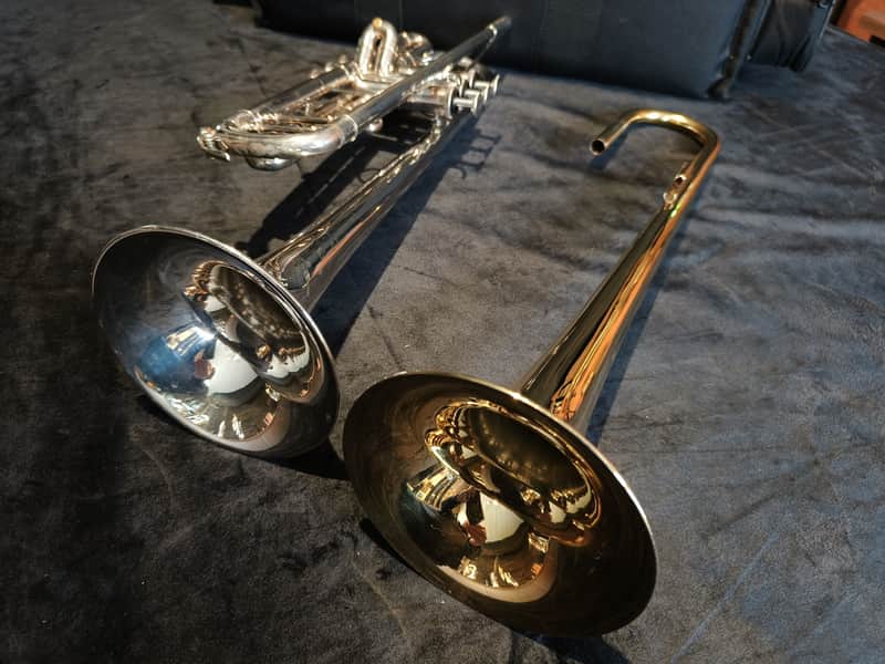 Markus Leuchter Custom 20s - Silver Gold image 1