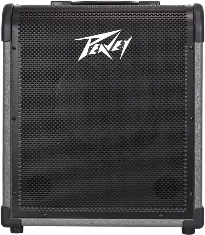 Peavey MAX 100 100-Watt Bass Amp Combo image 1