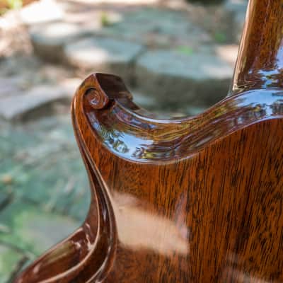 Scott Walker "Special" Guitar - 2011 - walnut & mahogany image 22