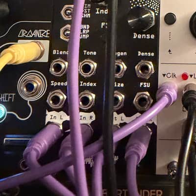 Noise Engineering Desmodus Versio | Reverb