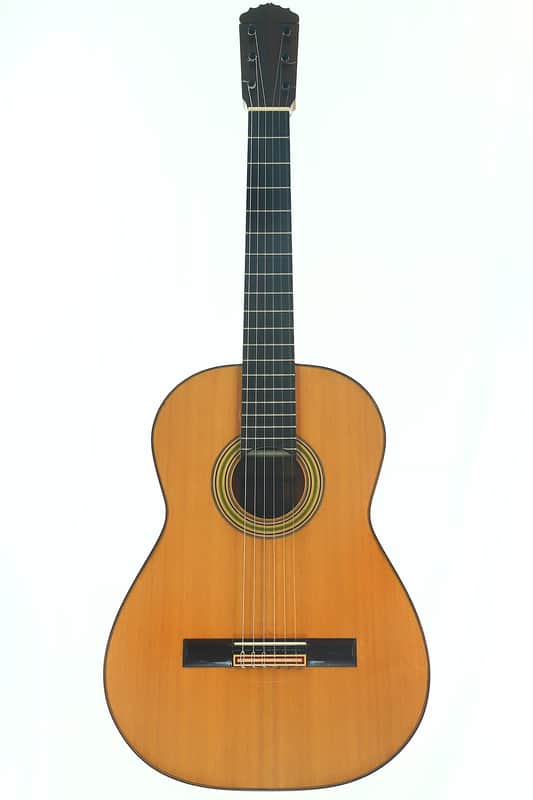 Sergio Sanchez Barbero Flamenco Guitar