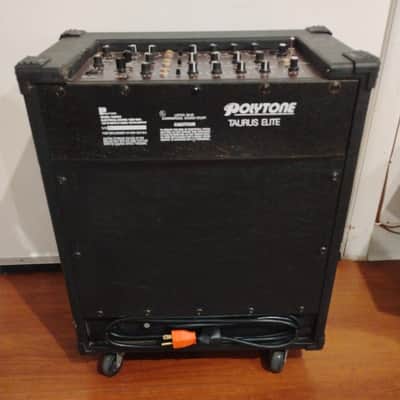 Polytone Guitar Amps | Reverb