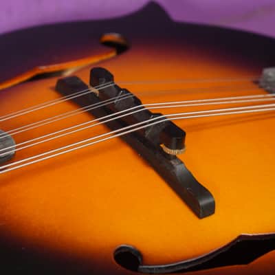 2020 Washburn M108SWK Carved F-Style Mandolin (VIDEO! Fresh Setup, Ready) image 10