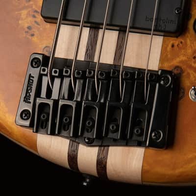 Cort A5 Plus SC | 5-String Bass Guitar. Amber Open Pore. New with Full Warranty! image 4