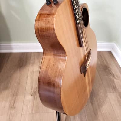 Immagine Taylor AB-1 acoustic-electric bass guitar - 7