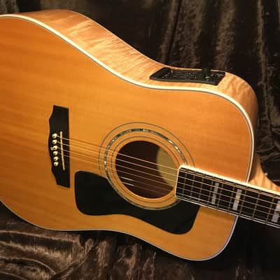 Guild D60 Maple Back "90s Westerly Wonder" Rare Bird  Acoustic Electric Top of the Line Model image 9