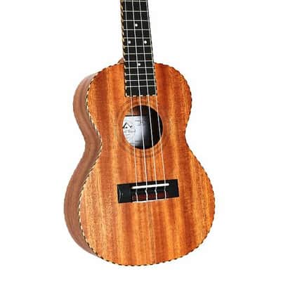 Twisted Wood Guitars Original Concert Ukulele Laminate Mahogany w/rope binding - padded gig bag image 5