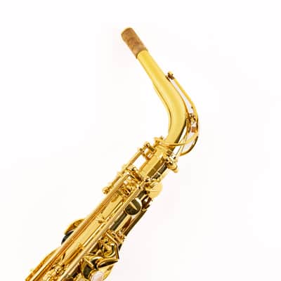 Selmer Paris 52AXOS Professional Alto Saxophone - (Competition Demo / Open Box Model) image 8