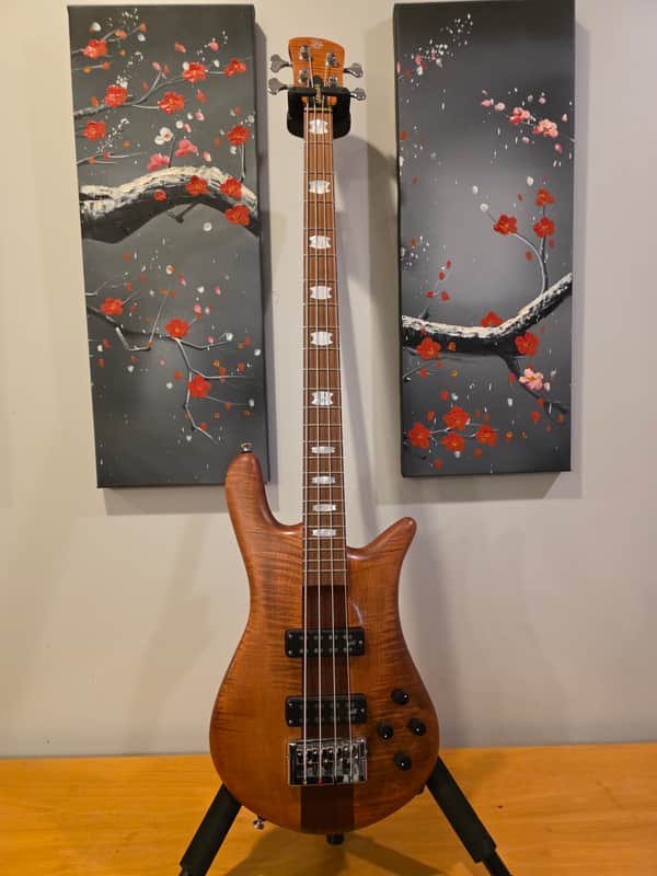 Spector Euro 4 RST