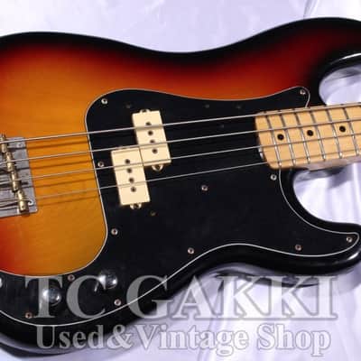 FERNANDES FPB 60 Mod image 2