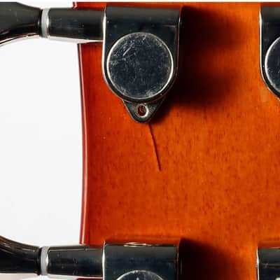 Epiphone Viola Bass image 5