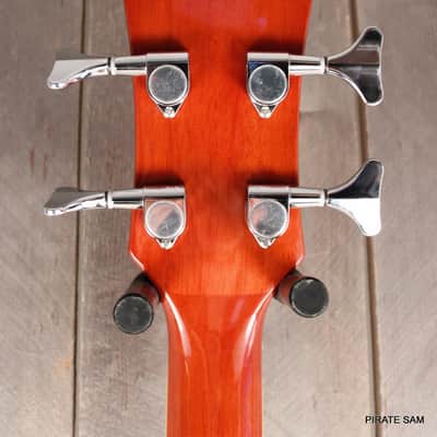Washburn AB5K Custom Art 4-String Acoustic Bass "Spikes of the South West " w/gig bag image 12