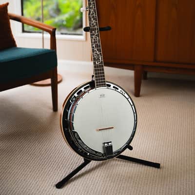 Ibanez B200 WITH HARDSHELL CASE - 5-String Resonator Banjo image 1