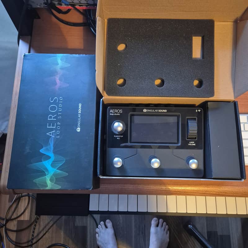 Singular Sound Aeros Loop Studio