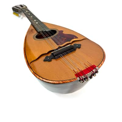 Gelas Type Double-Top ConcertMandolin (J. Rowies Label) 1927 image 16
