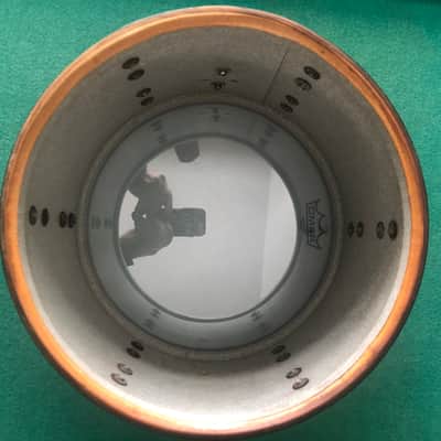 Ludwig 13" x 9  Tom Bild 3