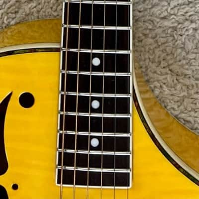 Gold Tone Mojo Round-neck Resonator Guitar with Pickup and Case image 5