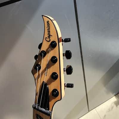 Caparison Dellinger-JSM Joel Stroetzel`21 image 11