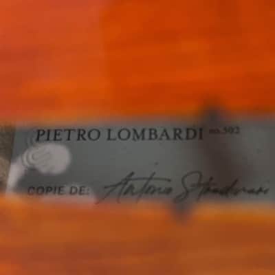New Pietro Lombardi 502 16" Viola image 5