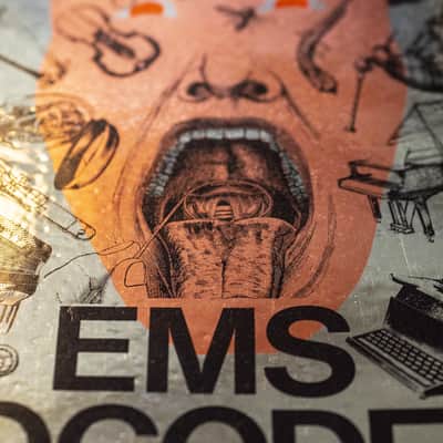 Batch of EMS brochures, technical documentation, photographs and advertisements + chrome sticker image 19