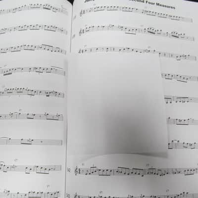 Cherry Lane Music 2003 1001 Blues Licks for All Treble Clef Instruments image 3