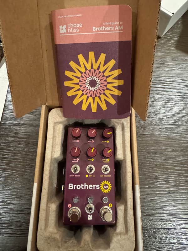 Chase Bliss Audio Brothers AM