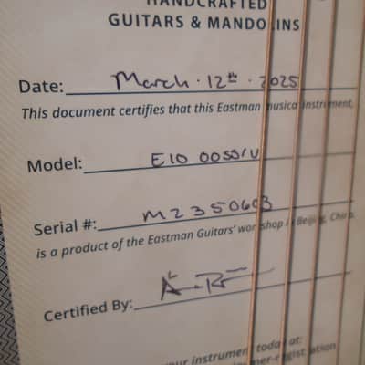 Eastman E10OOSS/V w/hard case , store demo image 3