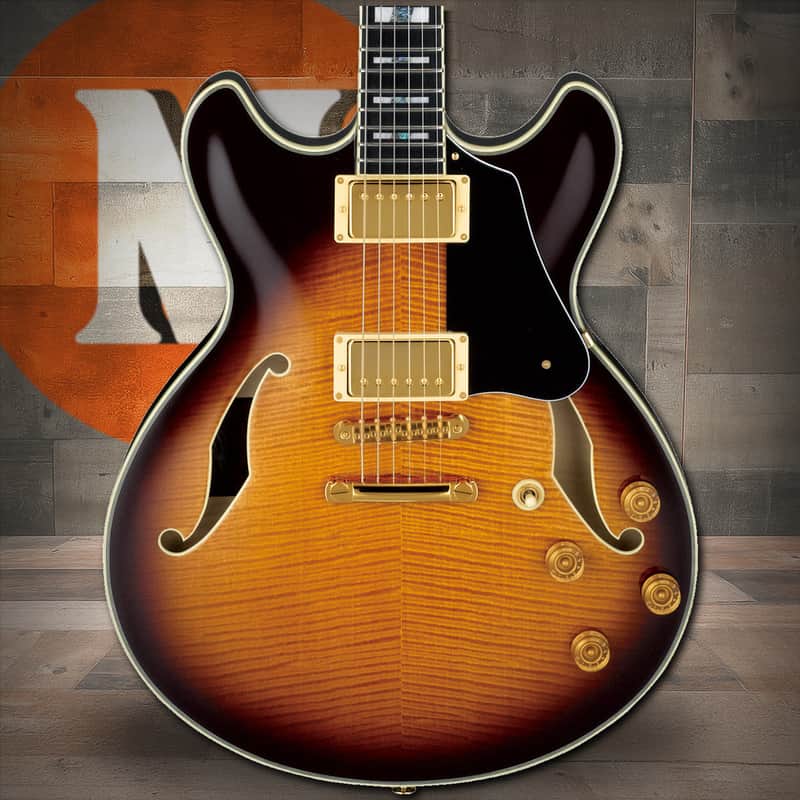 Ibanez John Scofield Signature  6 String Electric Guitar w/Case - Vintage Sunburst (JSM100VT) image 1