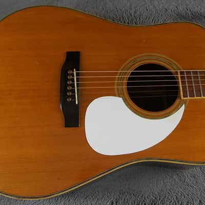 Morris W-35 Special Japan Acoustic Guitar image 6