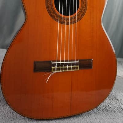 Takeharu acoustic guitars for sale in Australia | guitar-list