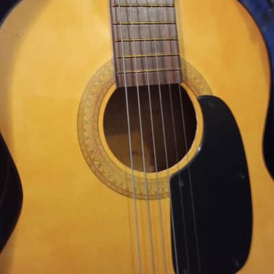 Atomic Guitar, High Gloss, Steel strings image 1
