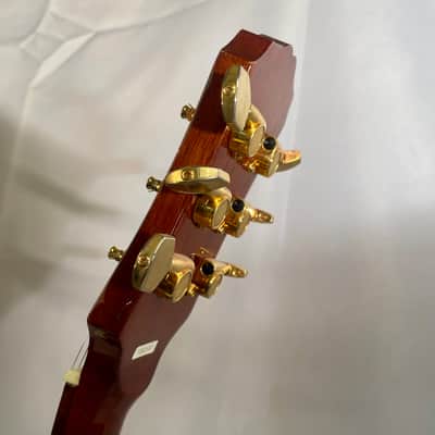 Epiphone Chet Atkins SST image 13