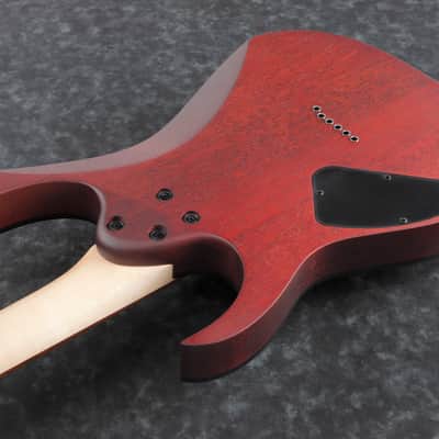 Ibanez RG421PB-CHF RG Series Electric Guitar Caribbean Shoreline Flat with Free Setup image 2